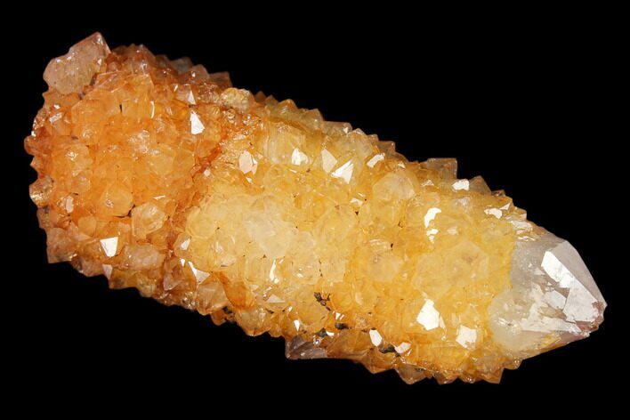 Sunshine Cactus Quartz Crystal - South Africa #122331